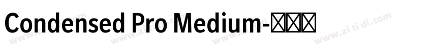 Condensed Pro Medium字体转换